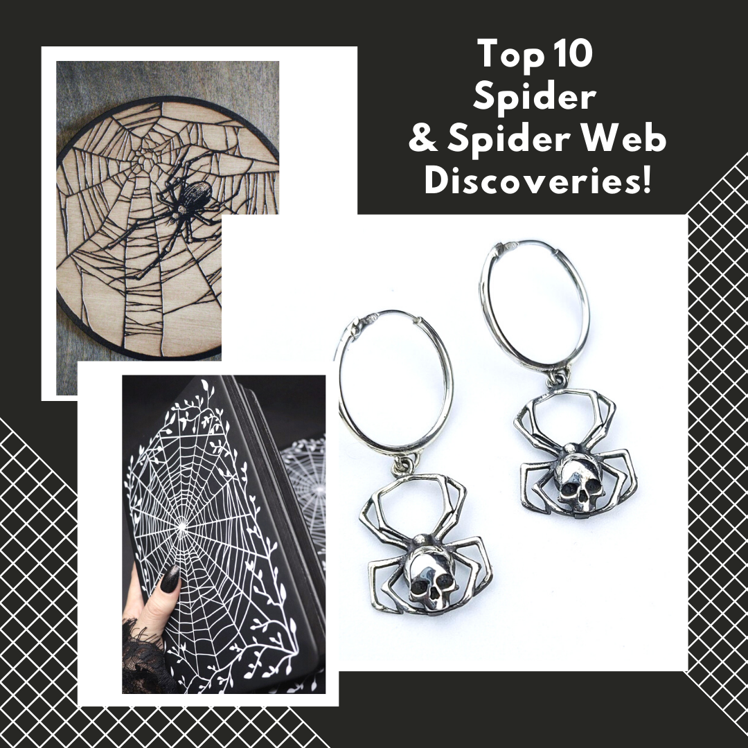 Collection of Top 10 Spider & Spider Web Discoveries! in a gallery layout