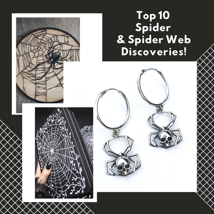 Top 10 Spider & Spider Web Discoveries!