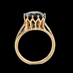 Collection of Veneration - Gold and Black Diamond Ring in a gallery layout