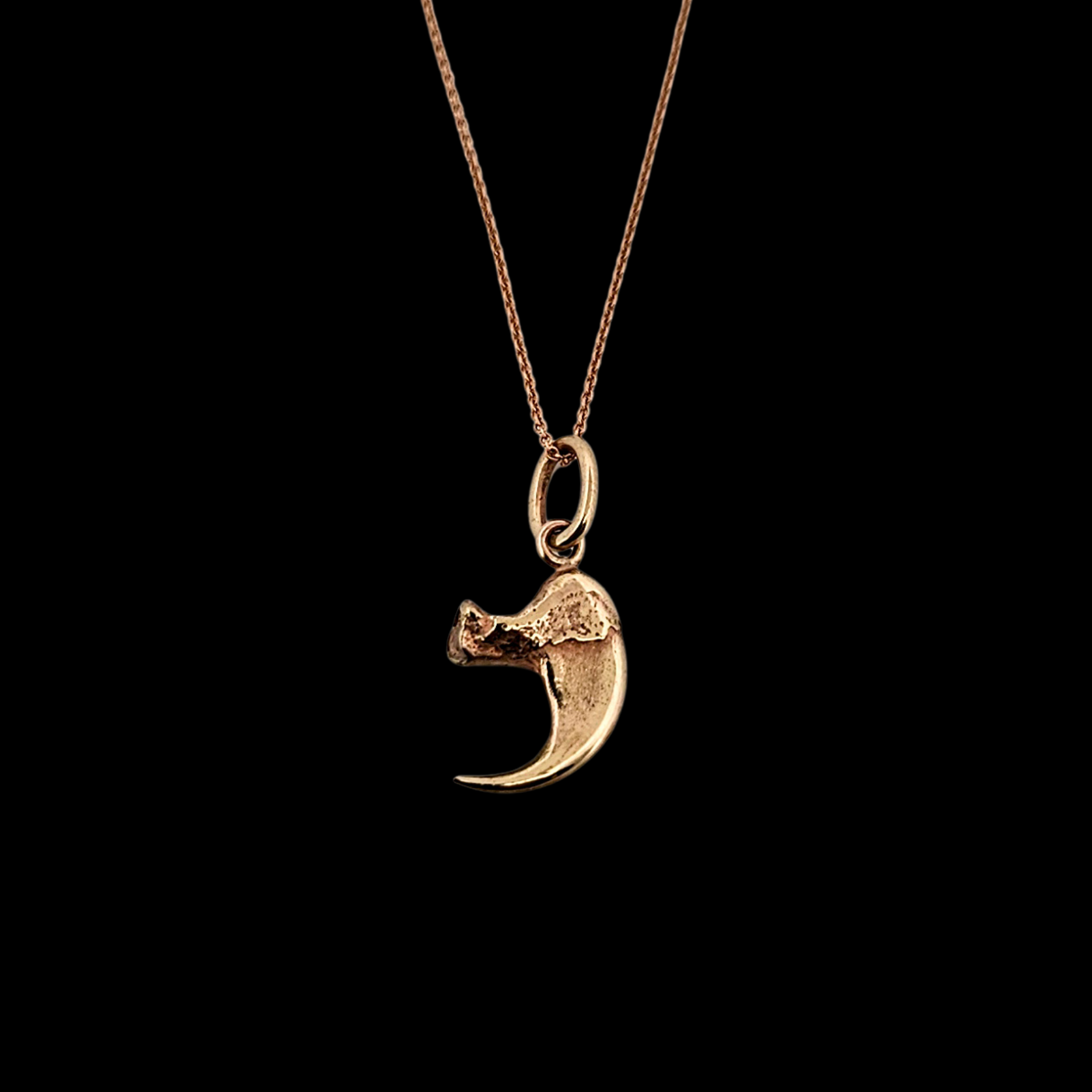 Collection of Cat Claw Pendant - Gold Options - Inchoo Bijoux in a gallery layout