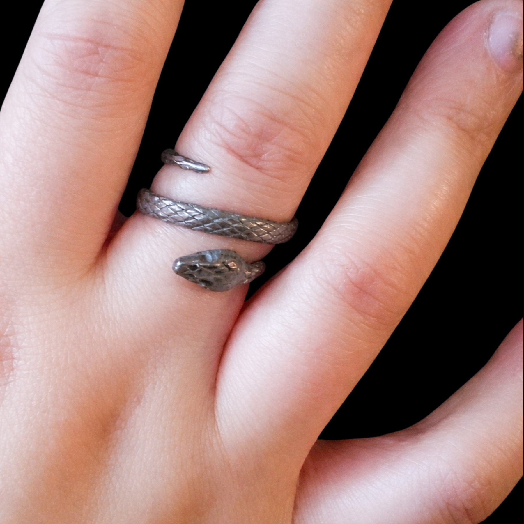 Collection of  in a gallery layout