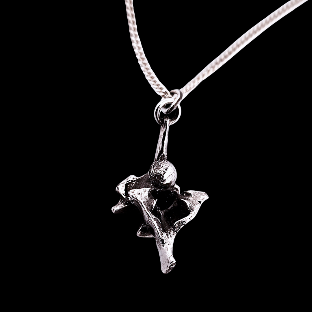 Collection of Vertebrae Pendant Elongated Sterling Silver in a gallery layout