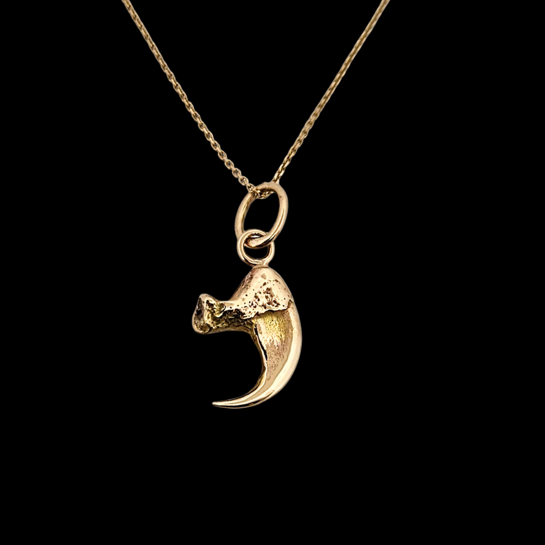 Collection of Cat Claw Pendant - Gold Options - Inchoo Bijoux in a gallery layout