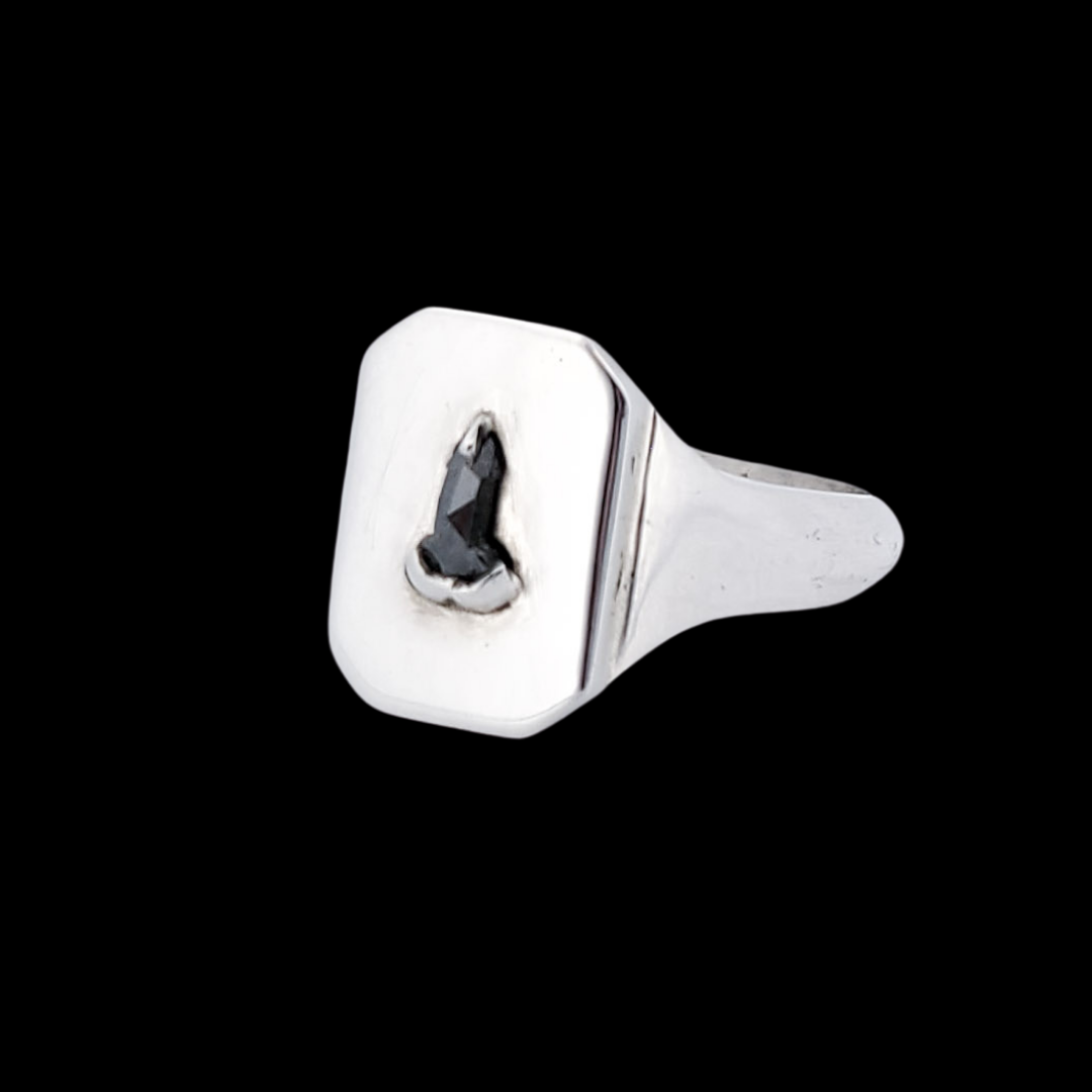 Collection of Mature Salt and Pepper Diamond Penis Signet Ring in a gallery layout