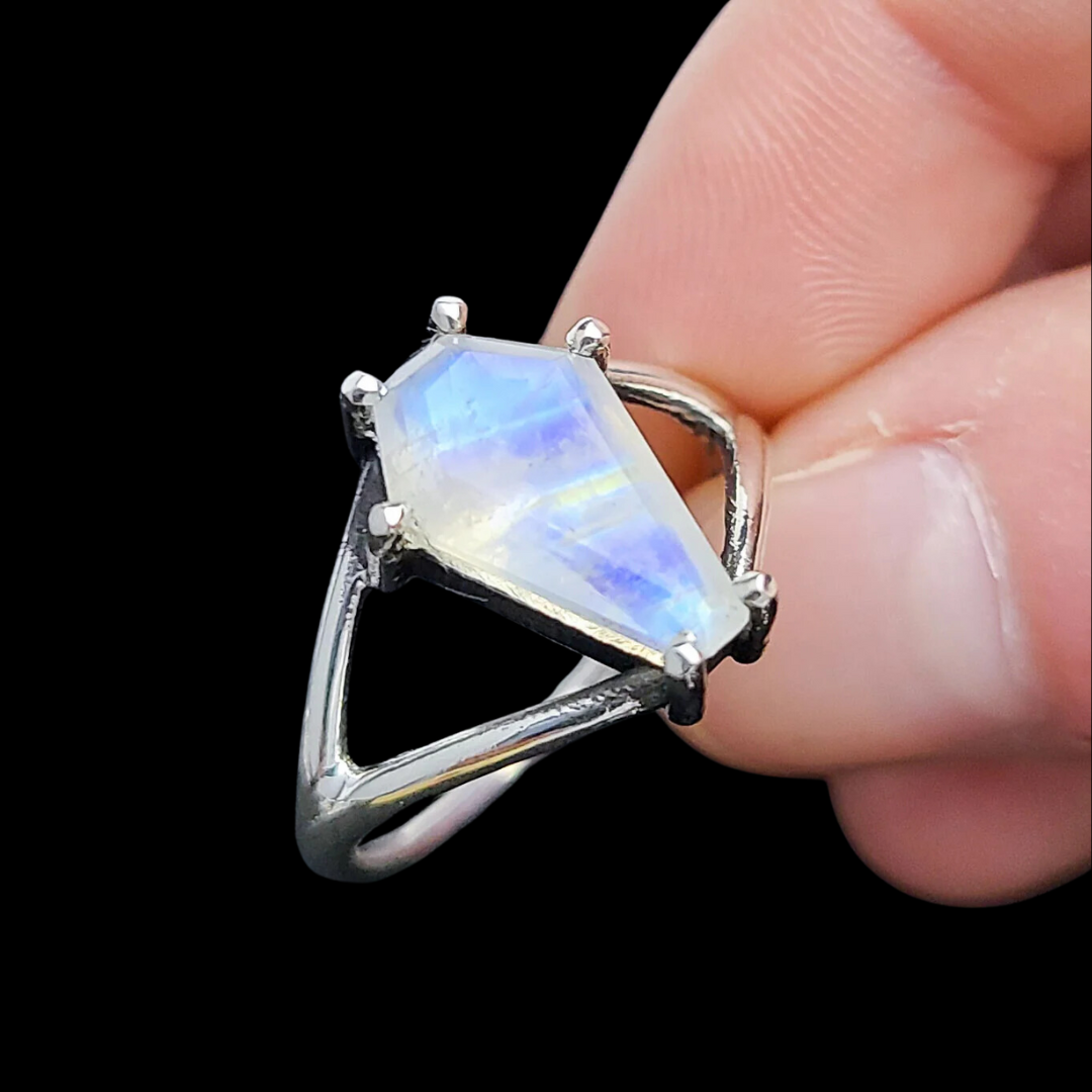 Collection of  in a gallery layout