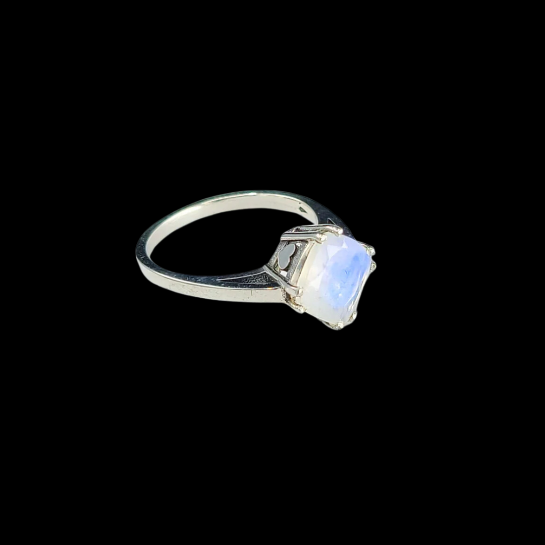 Collection of  in a gallery layout