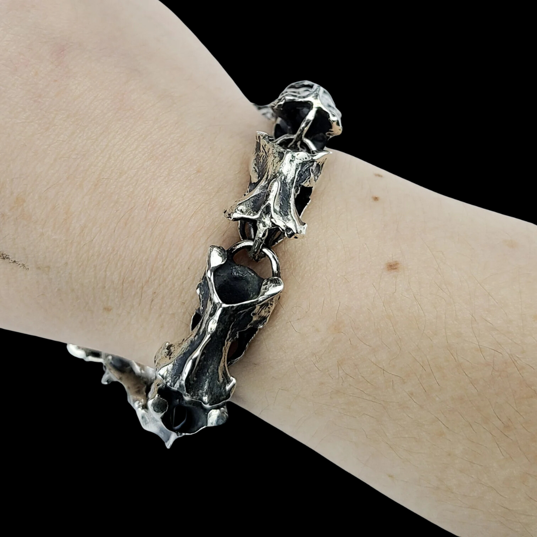 Collection of  in a gallery layout