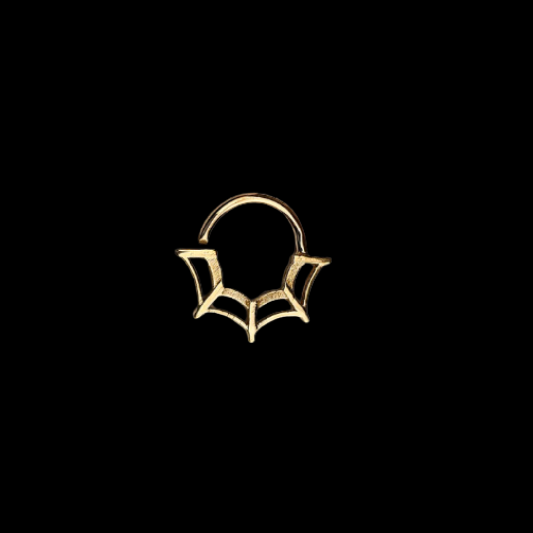 Collection of  in a gallery layout