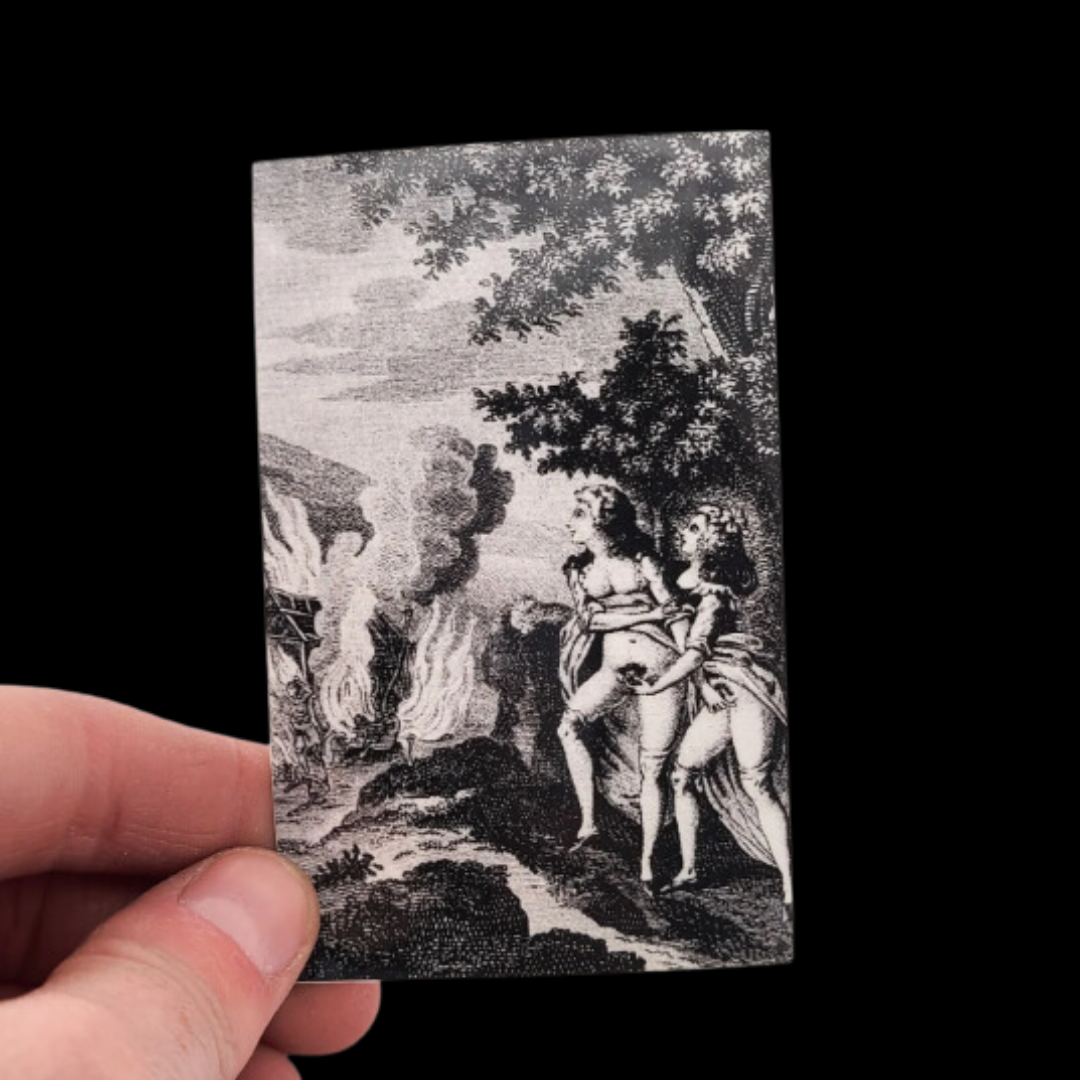 Collection of  in a gallery layout