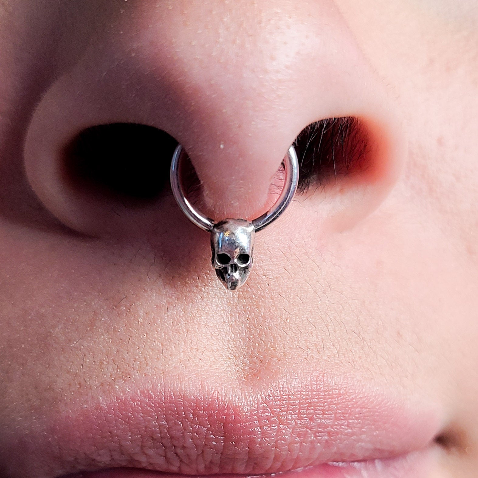 Collection of  in a gallery layout