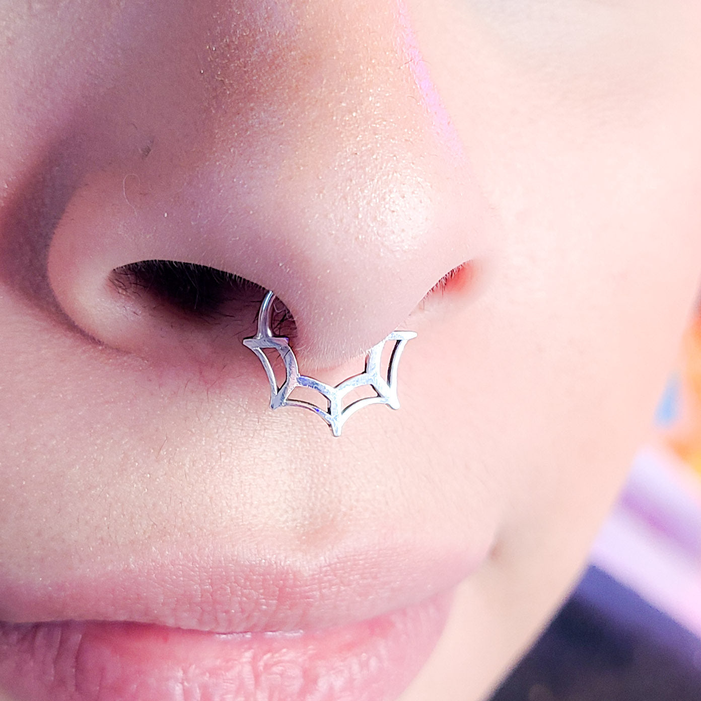 Collection of  in a gallery layout