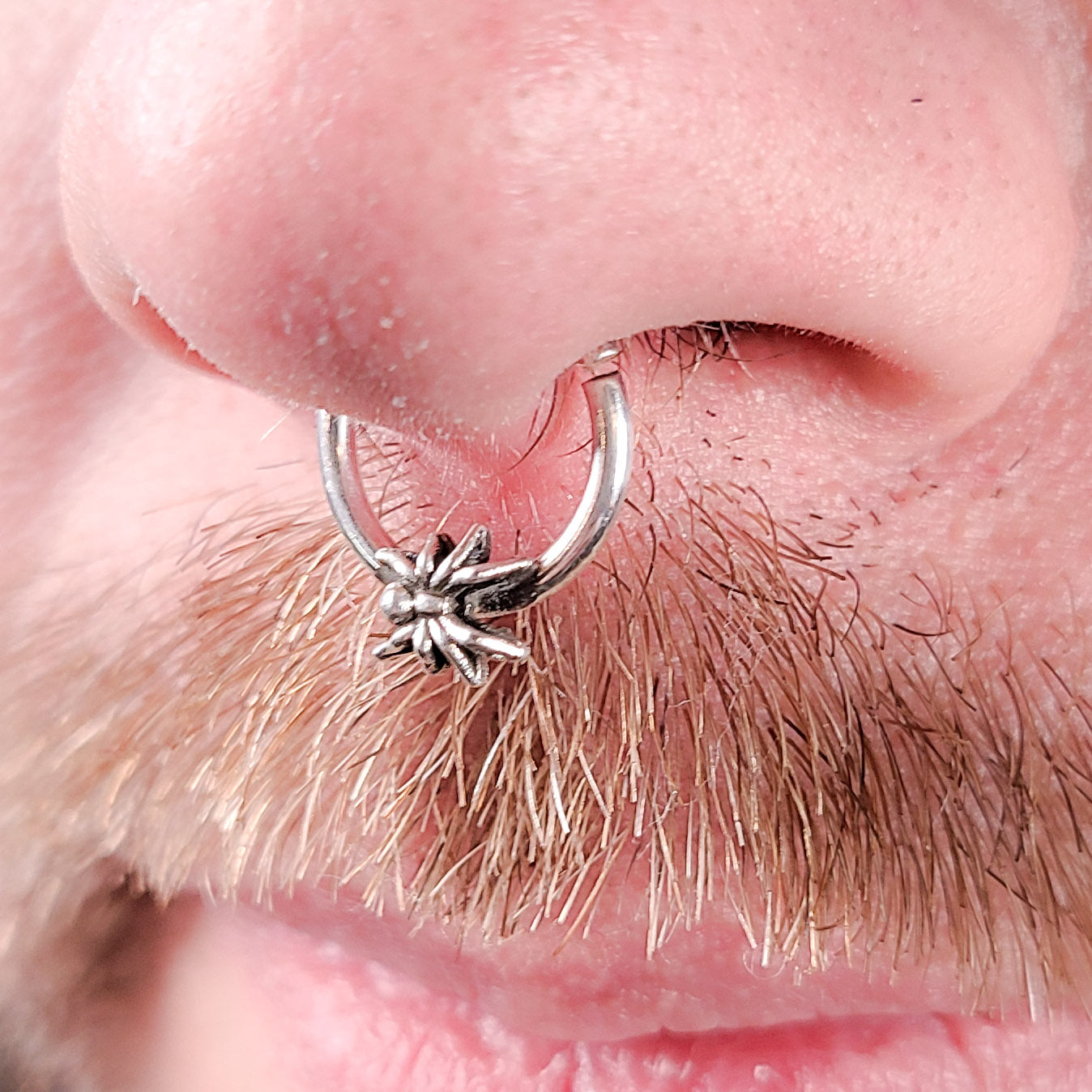 Collection of  in a gallery layout