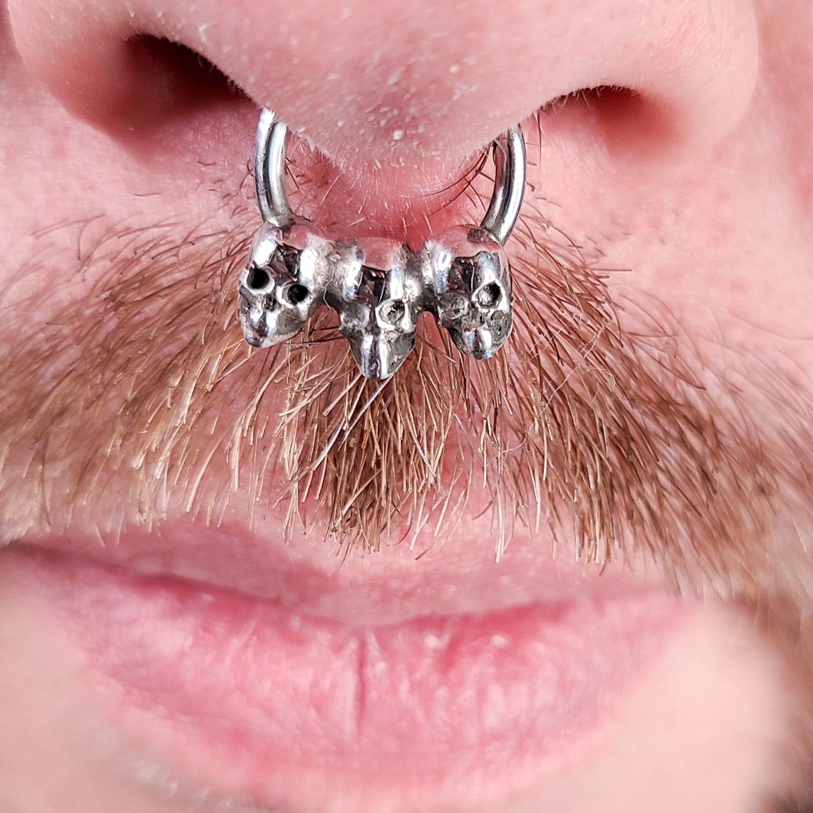 Collection of 3 Skull Silver Septum in a gallery layout
