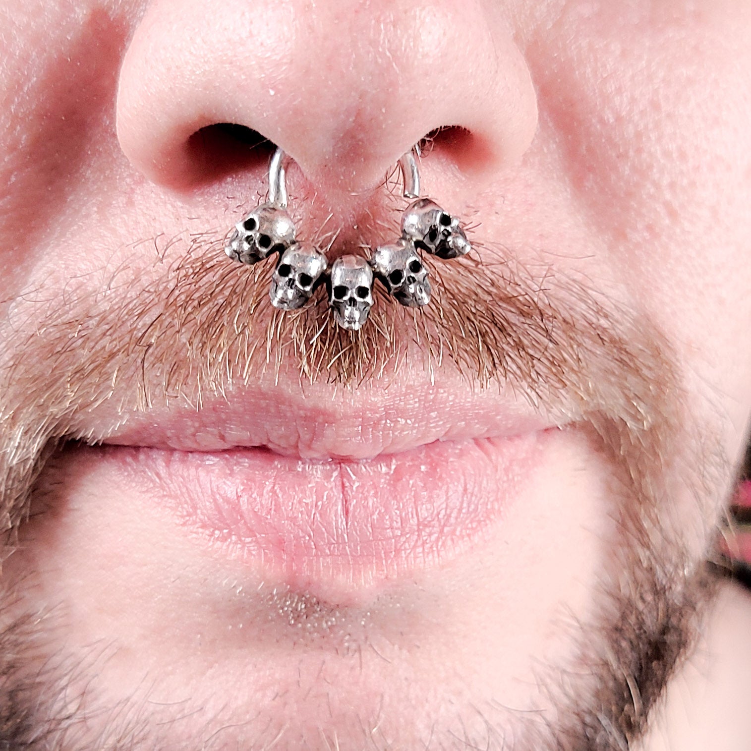 Collection of 5 Skull Silver Septum Ring in a gallery layout