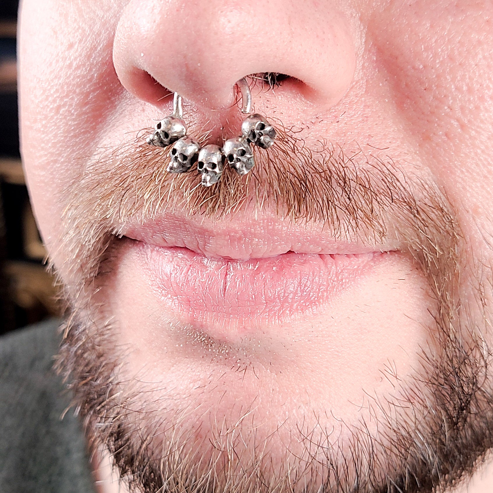 Collection of 5 Skull Silver Septum Ring in a gallery layout