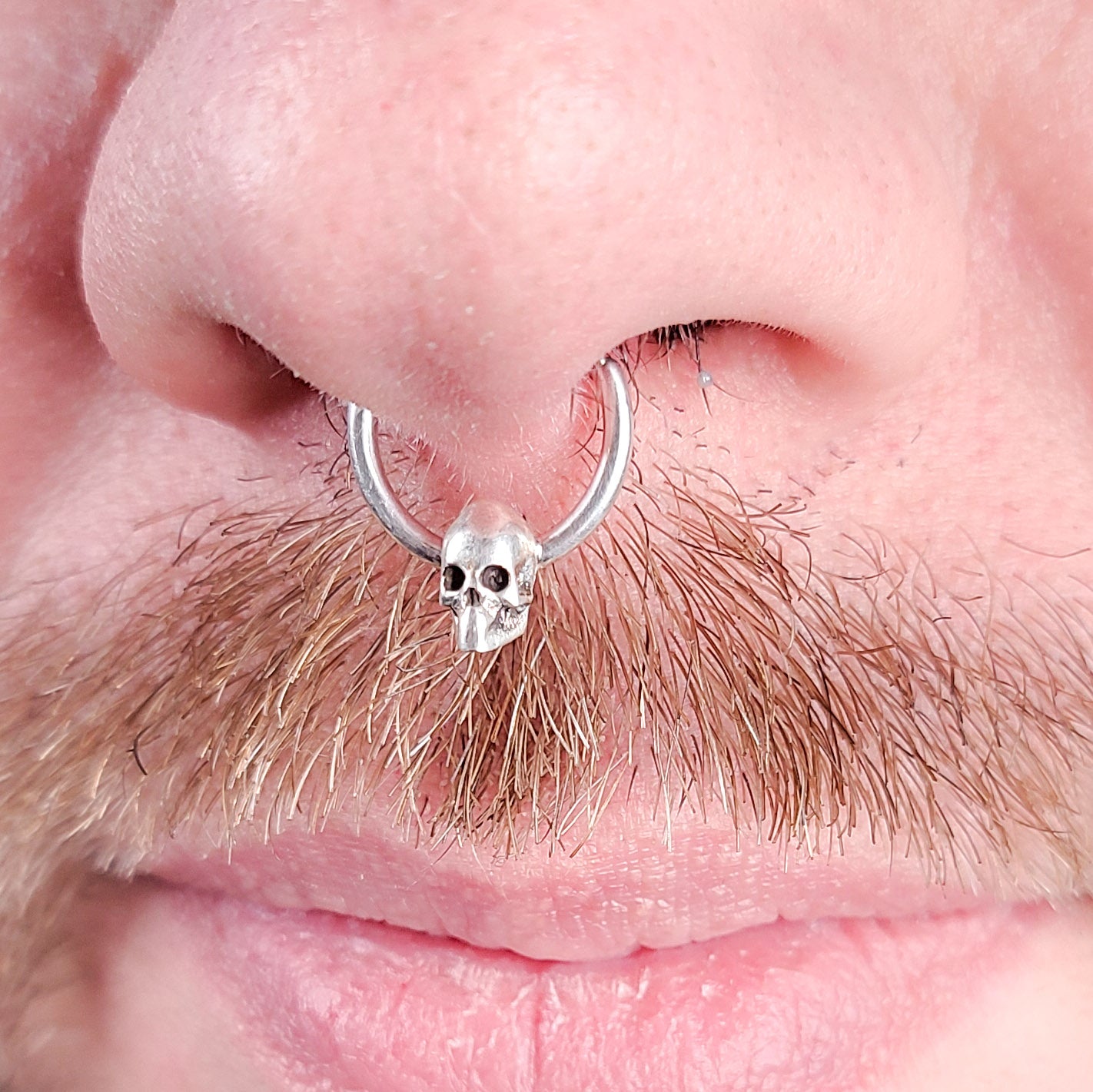 Collection of Minimal Skull Septum Ring in a gallery layout