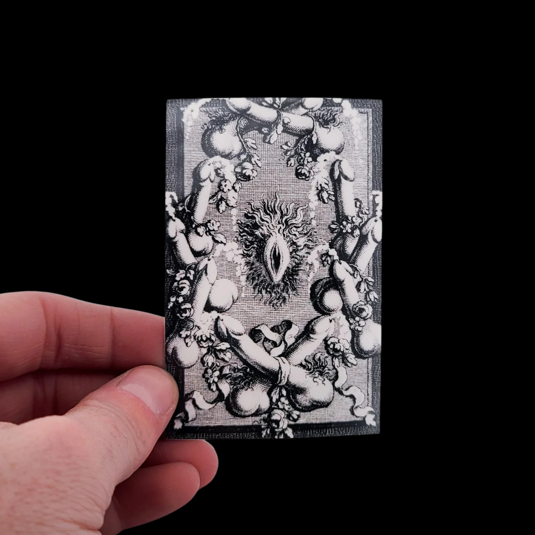 Collection of  in a gallery layout