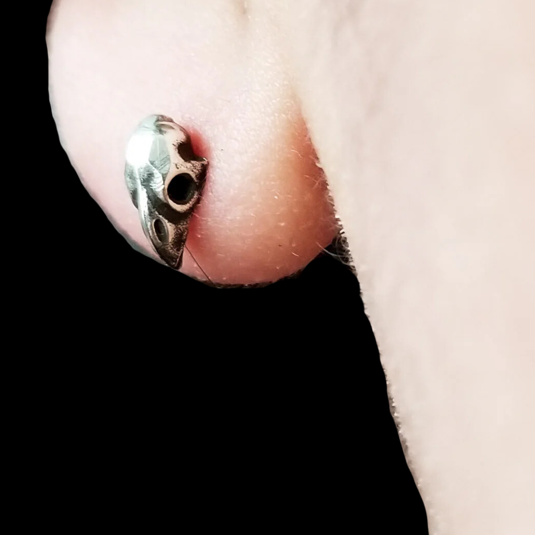 Collection of Tiny Bird Skull Earrings - Inchoo Bijoux in a gallery layout