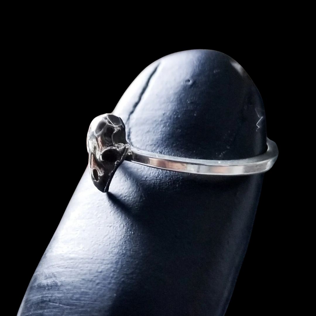 Collection of Tiny Bird Skull Ring - Inchoo Bijoux in a gallery layout