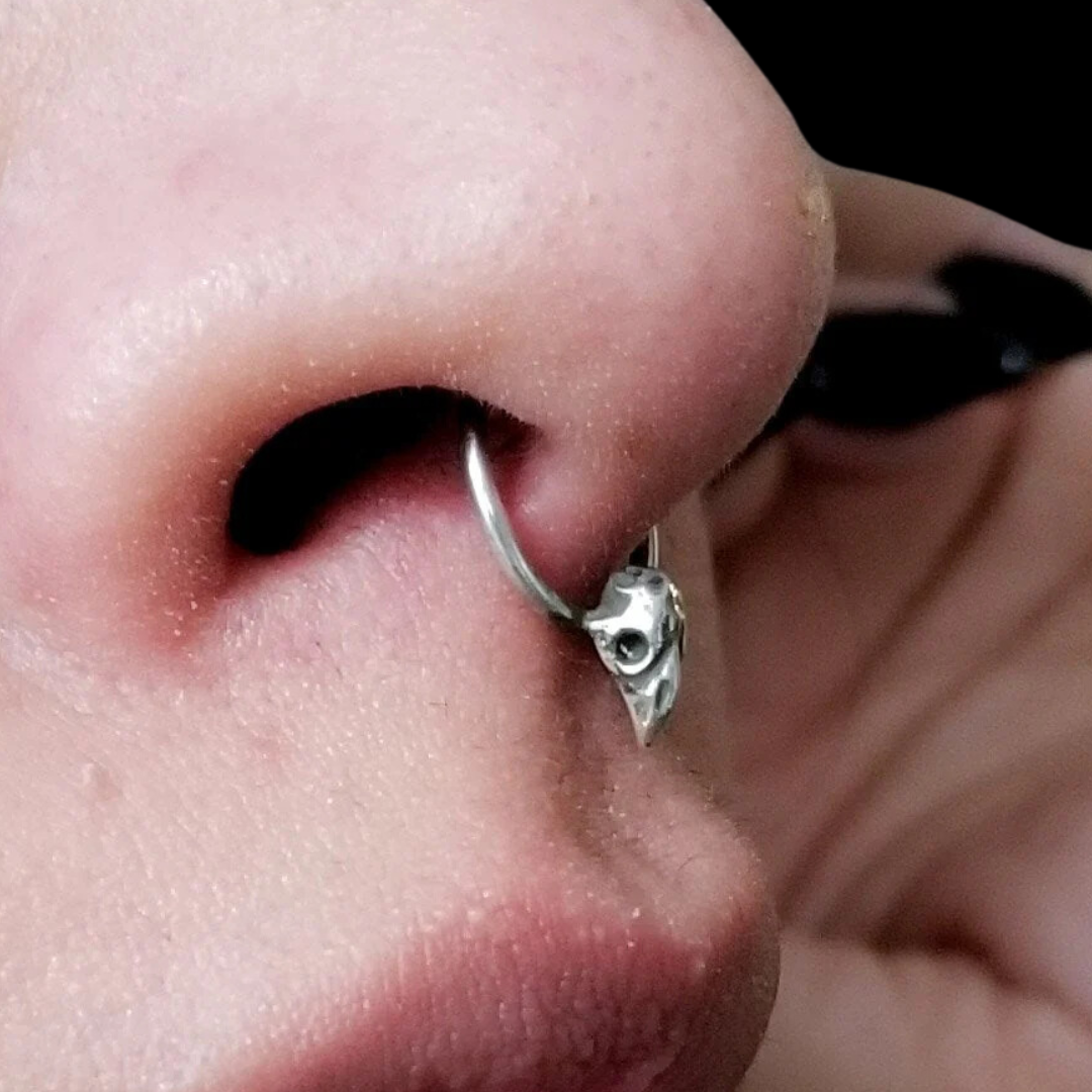 Collection of Tiny Bird Skull Septum Piercing - Inchoo Bijoux in a gallery layout