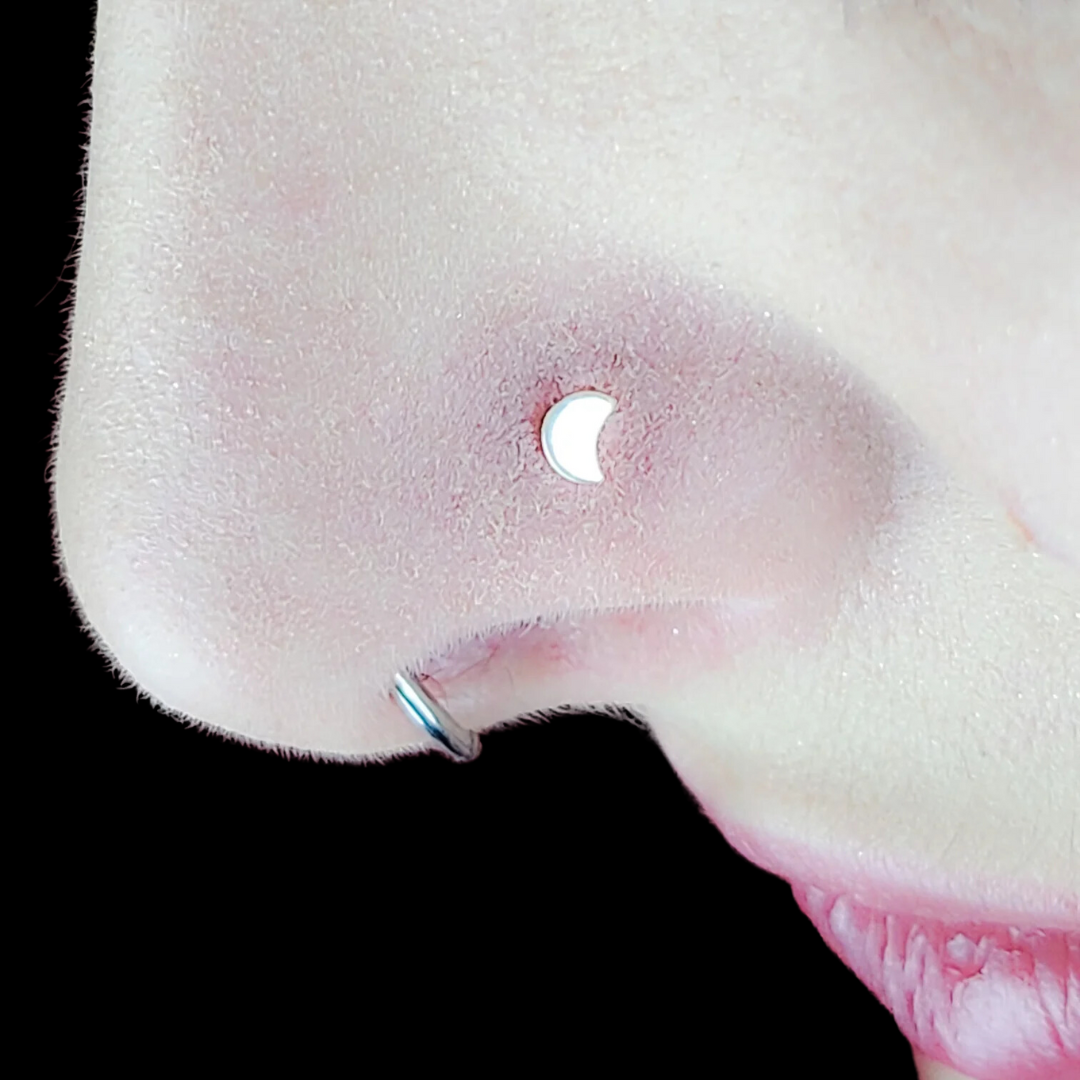 Collection of  in a gallery layout