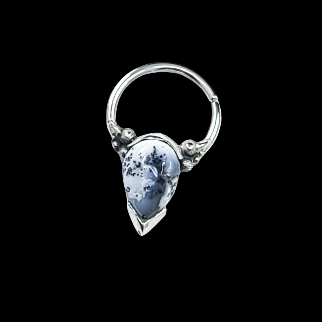 Collection of Dendritic Agate Septum Piercing in a gallery layout