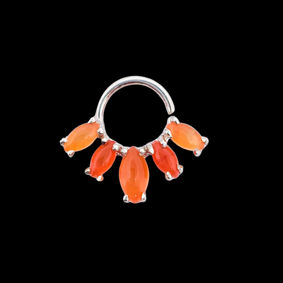 Collection of  in a gallery layout