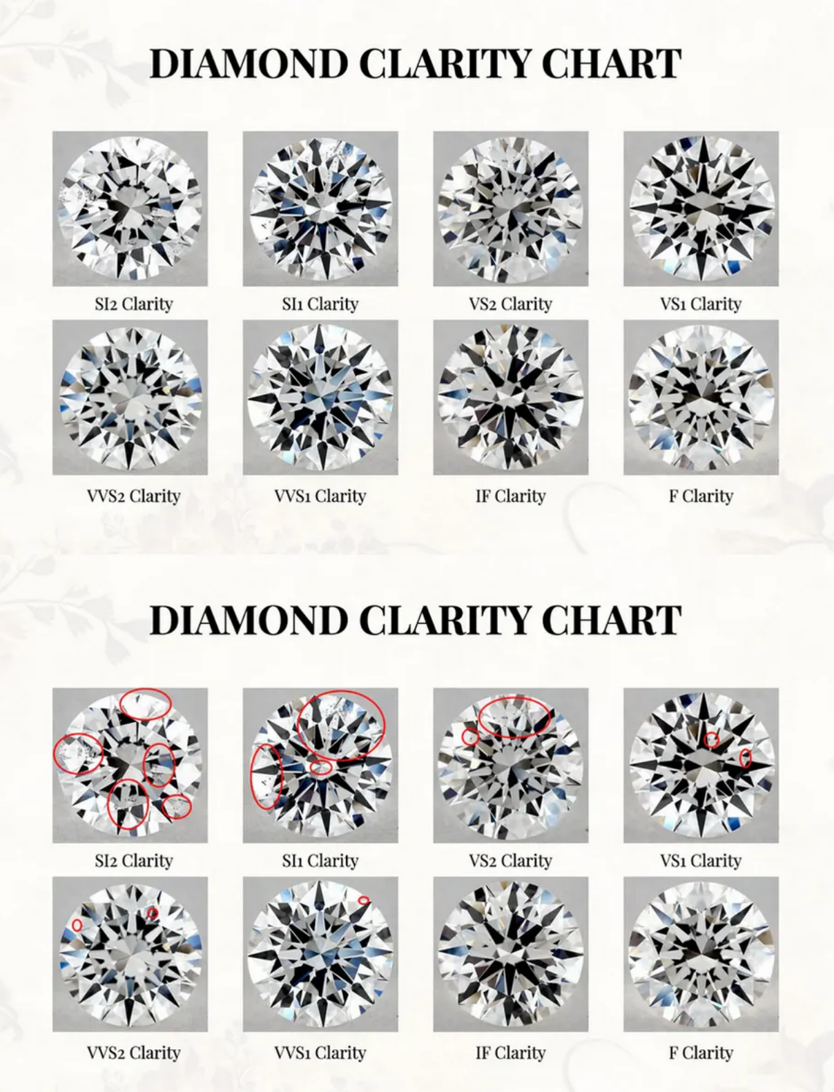 Collection of  in a gallery layout