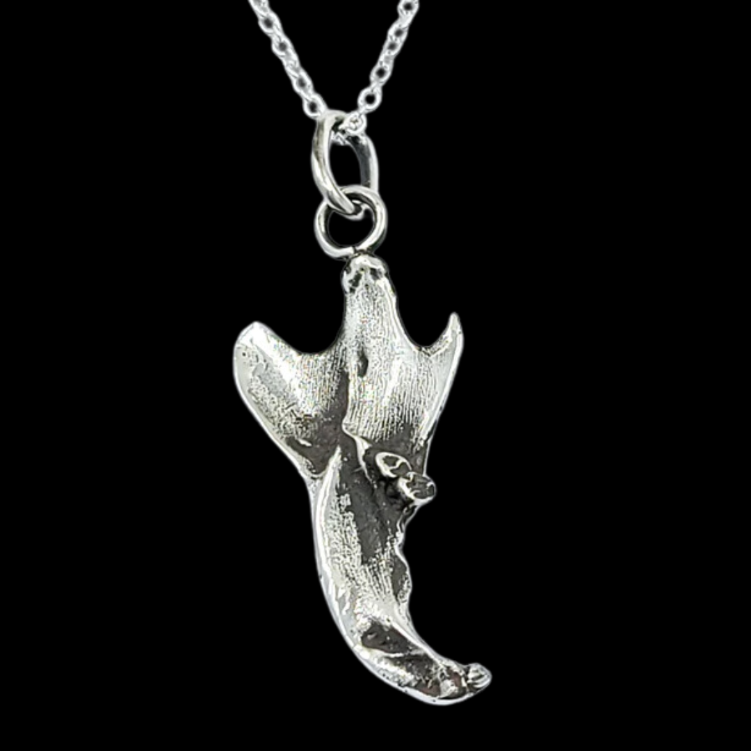 Collection of Small Squirrel Jaw Bone Pendant in a gallery layout