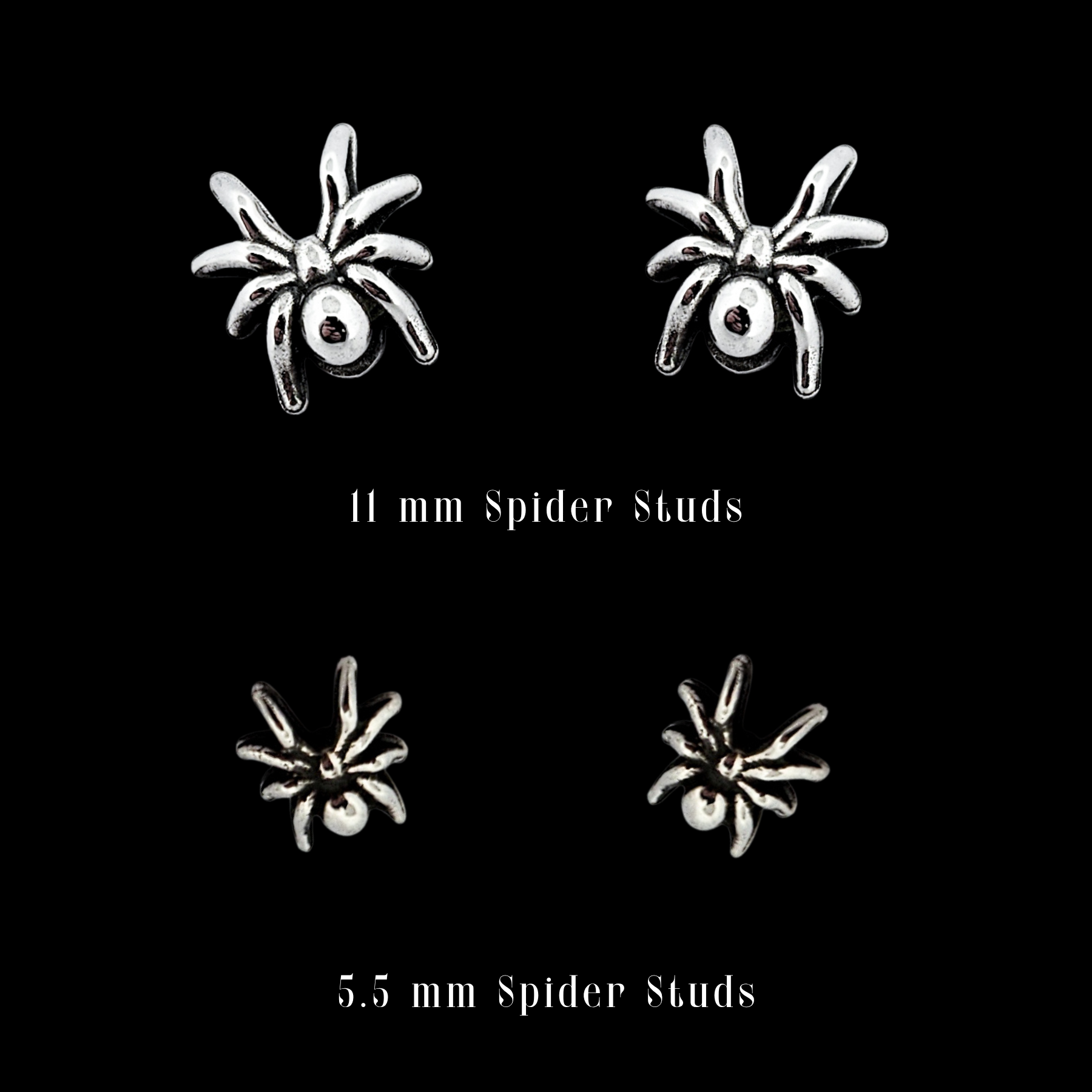 Collection of  in a gallery layout