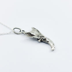 Collection of Small Squirrel Jaw Bone Pendant in a gallery layout