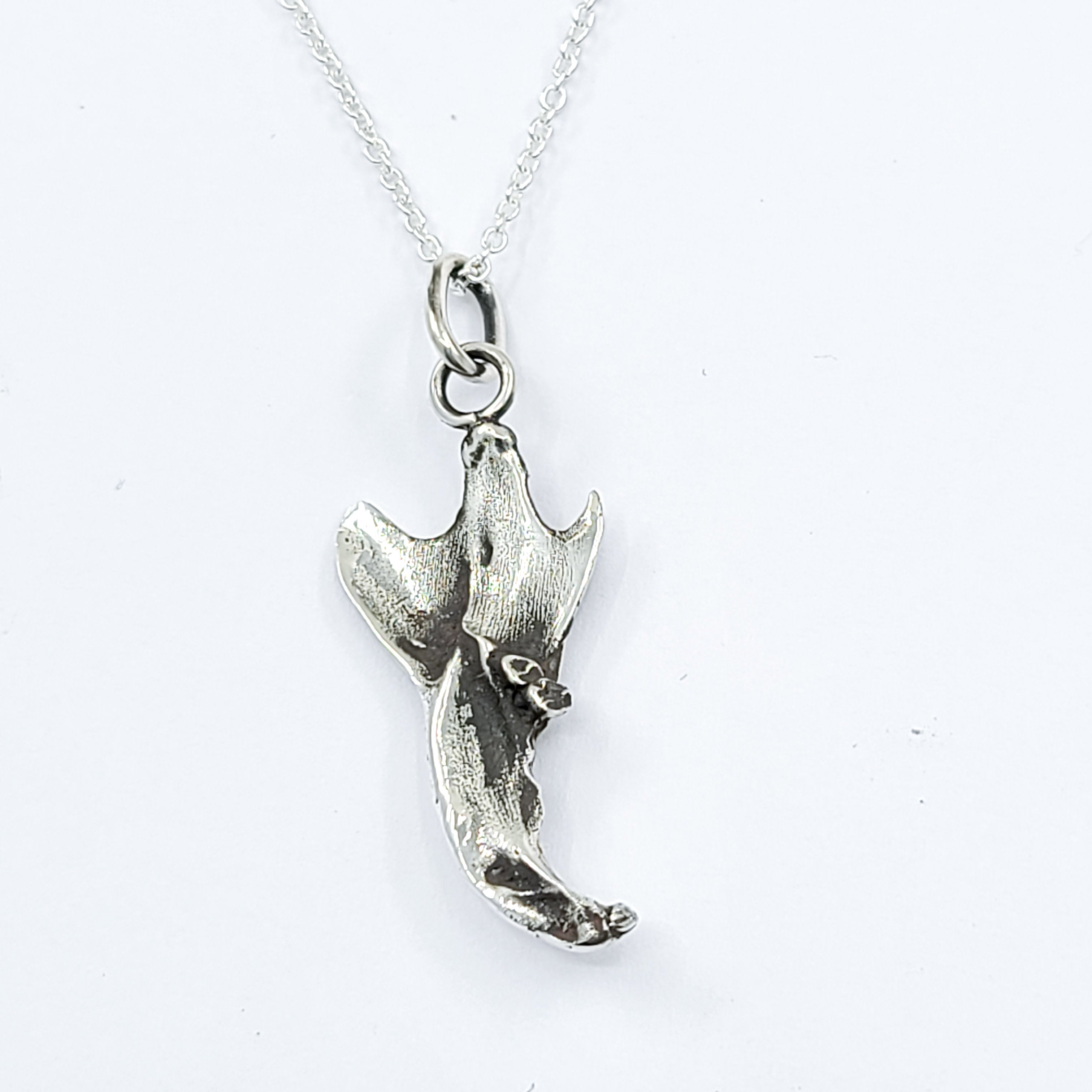 Collection of Small Squirrel Jaw Bone Pendant in a gallery layout