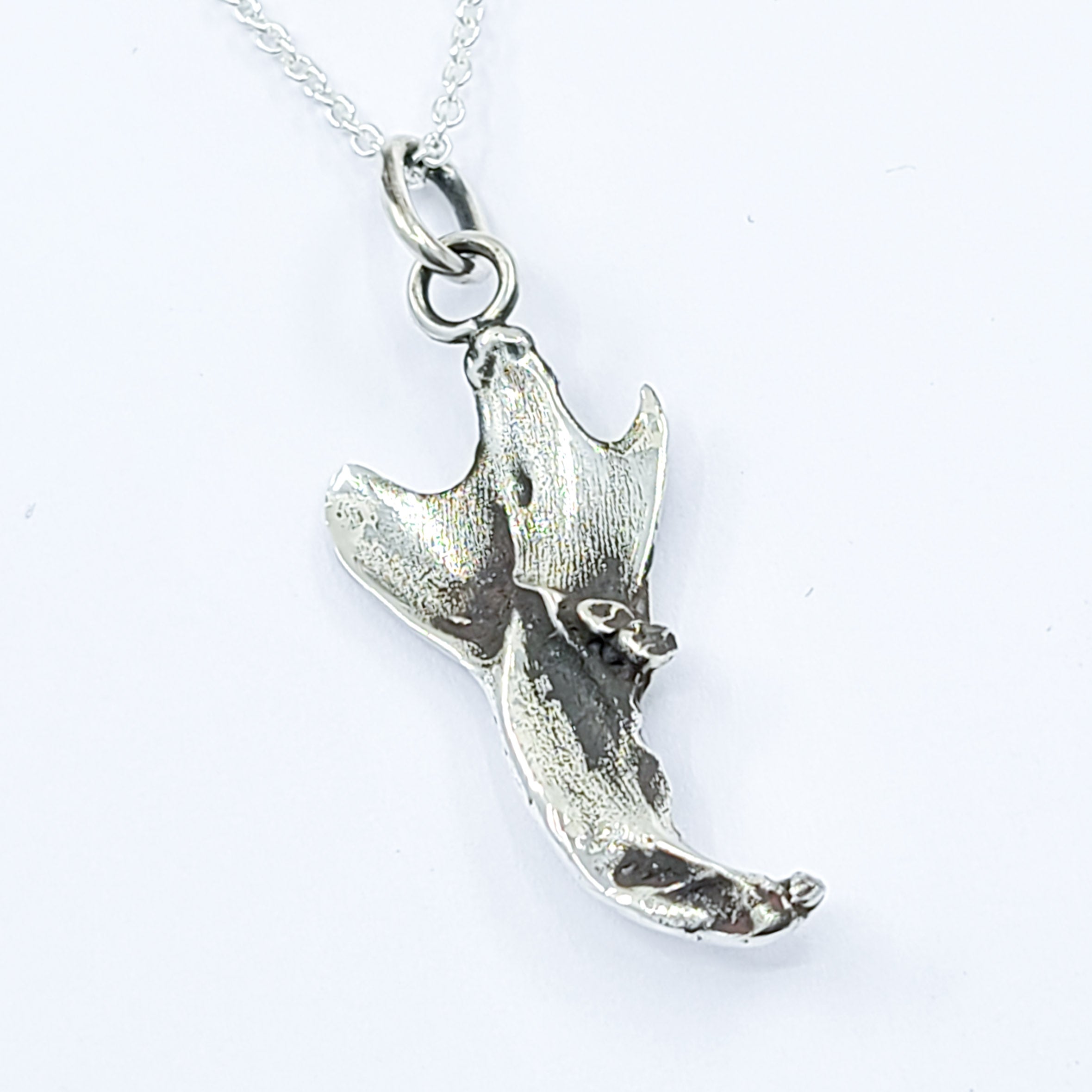 Collection of Small Squirrel Jaw Bone Pendant in a gallery layout