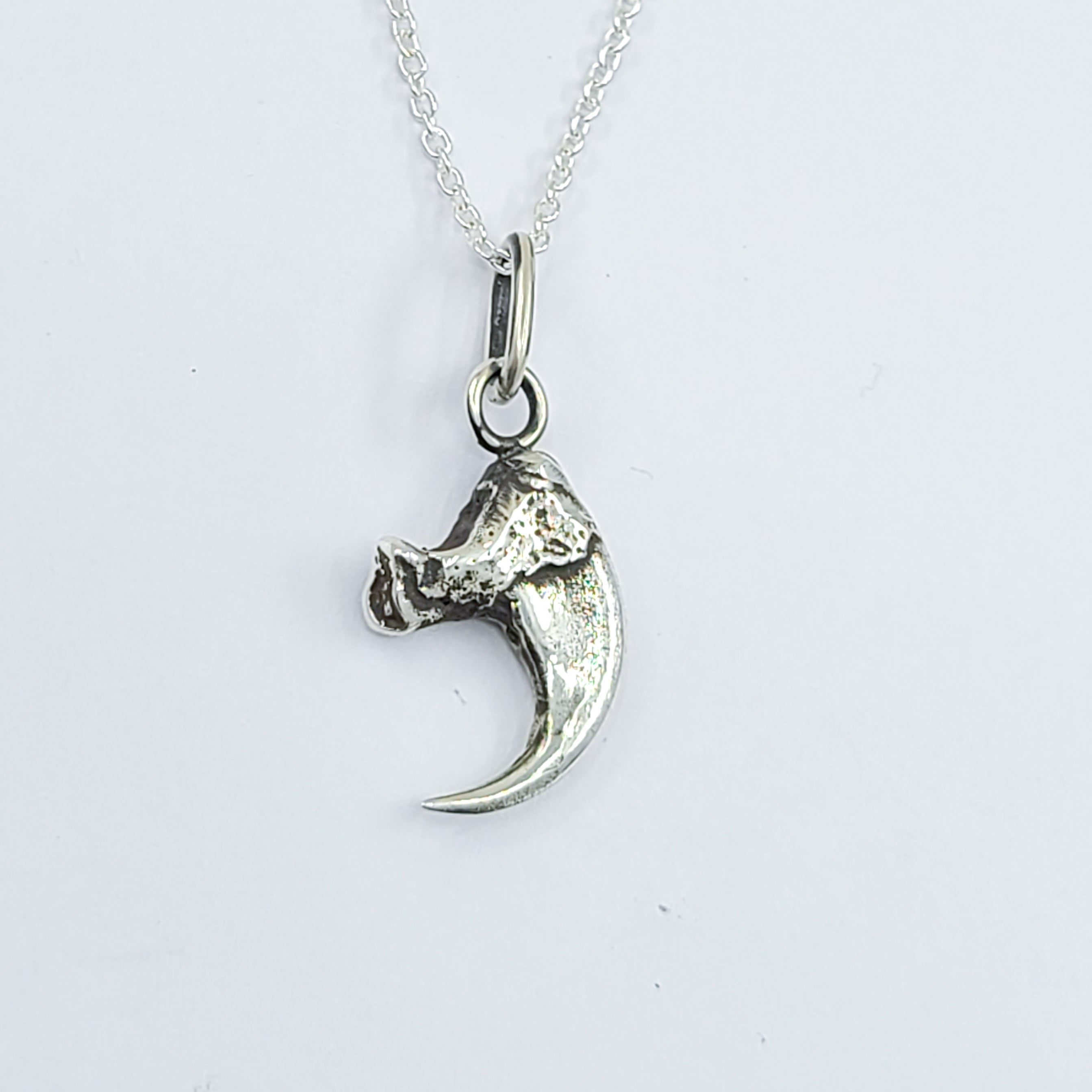 Collection of Small Cat Claw Pendant in a gallery layout