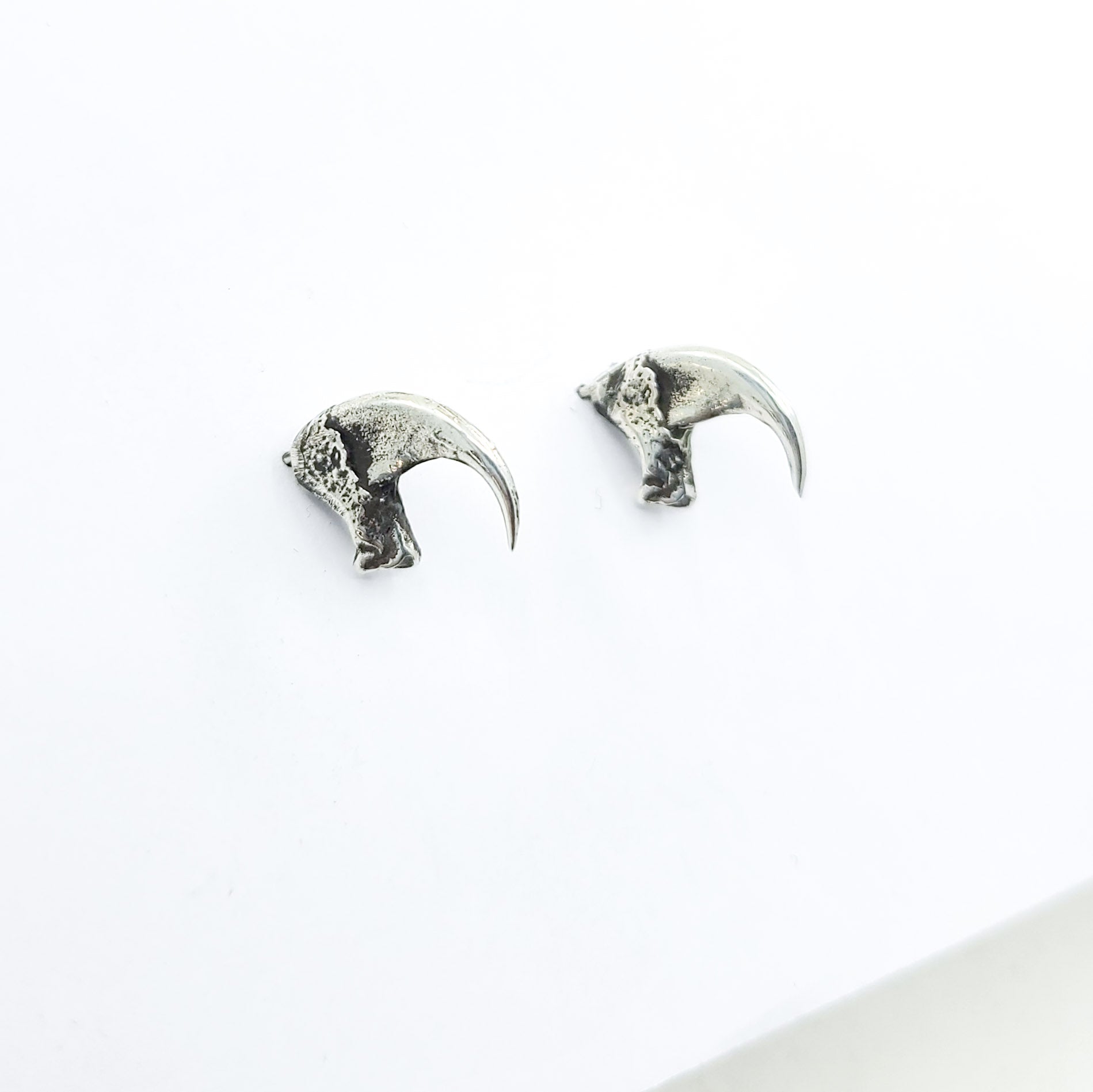 Collection of Cat Claw Stud Earrings in a gallery layout