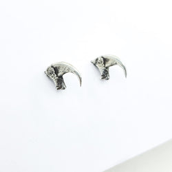 Collection of Cat Claw Stud Earrings in a gallery layout