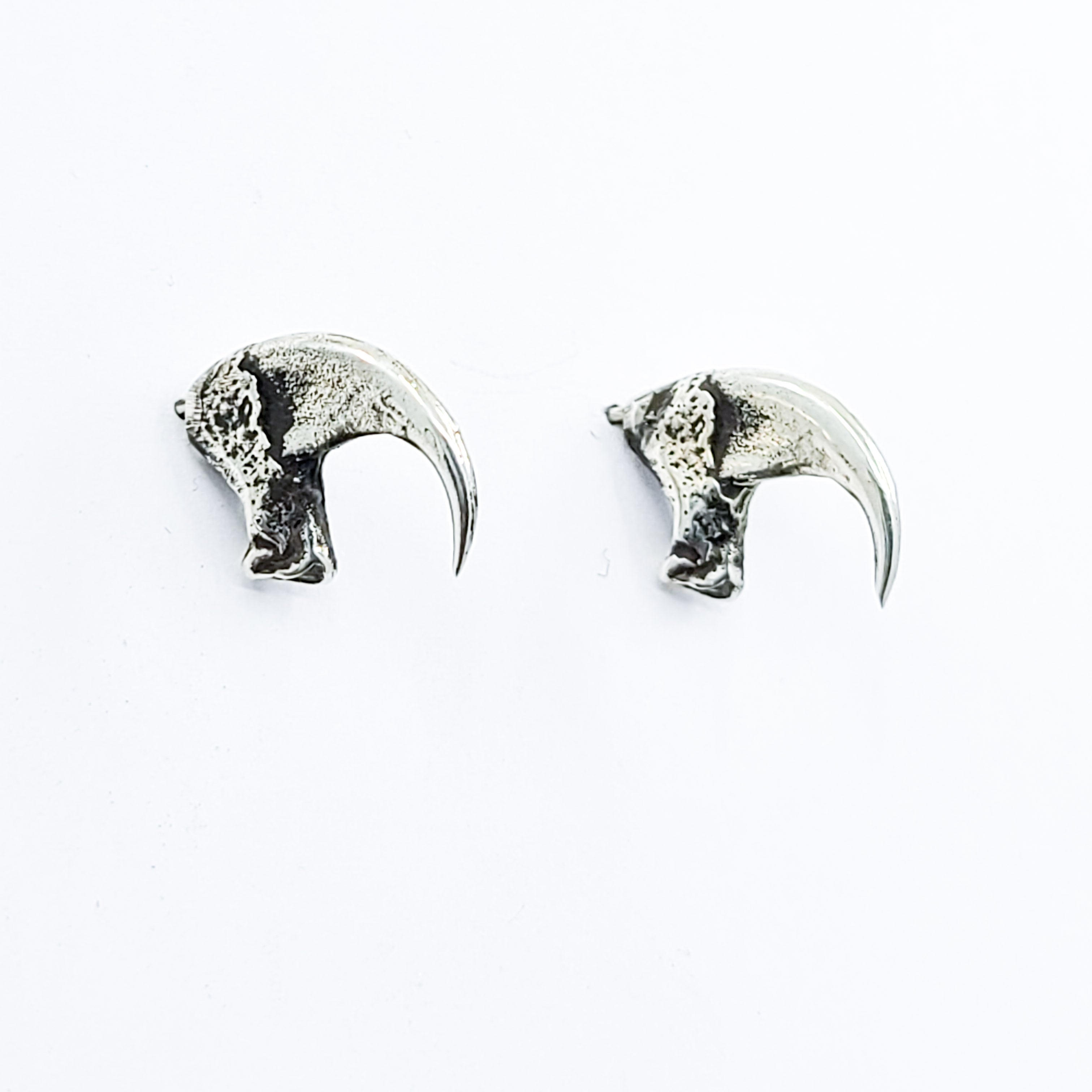 Collection of Cat Claw Stud Earrings in a gallery layout