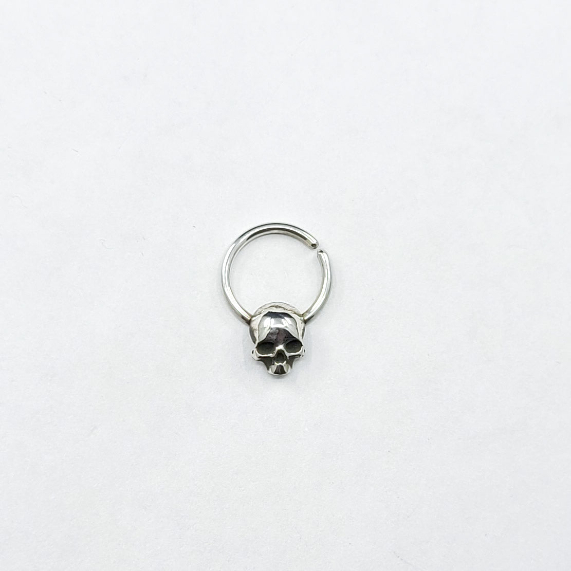 Collection of Cute Skull Septum Piercing in a gallery layout