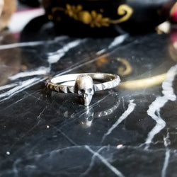 Collection of Studded Skull Ring-Ring-Inchoo Bijoux-Inchoo Bijoux in a gallery layout