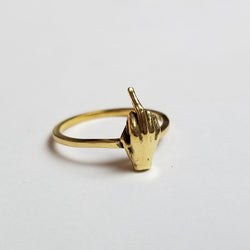 Collection of 14k Yellow Gold F**K You Ring Middle FInger-Ring-Inchoo Bijoux-Inchoo Bijoux in a gallery layout