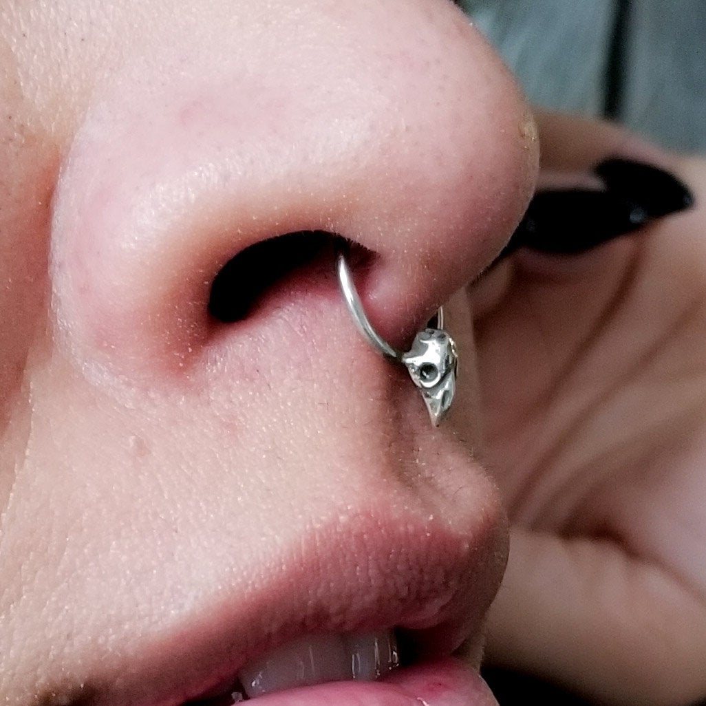 Collection of Tiny Bird Skull Septum Piercing - Inchoo Bijoux in a gallery layout