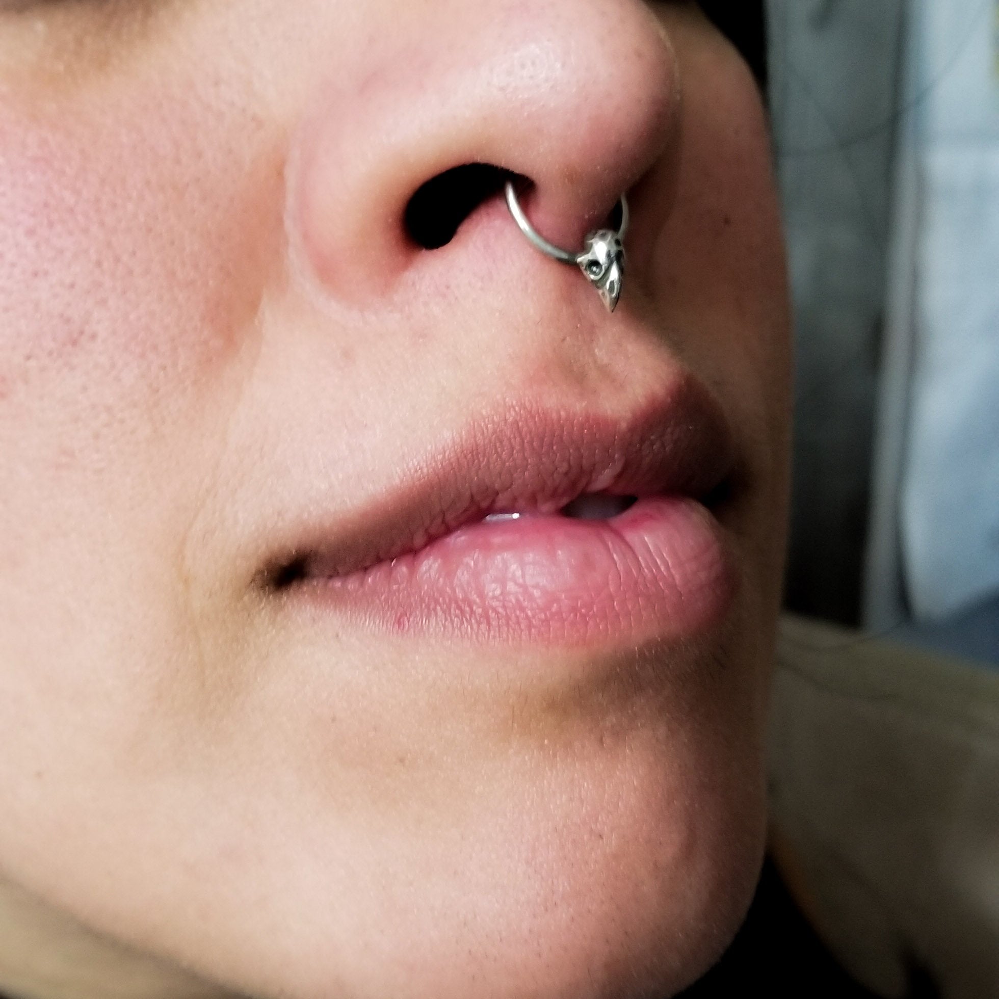 Collection of Tiny Bird Skull Septum Piercing - Inchoo Bijoux in a gallery layout