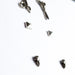 Set of 3 Pairs of Earrings #3 - Bird Skull, Scissors & Pyramid Studs - Inchoo Bijoux