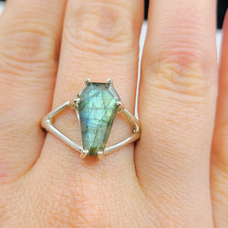 Collection of Big Labradorite Coffin Ring in a gallery layout