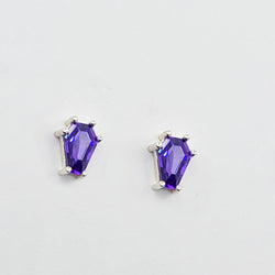 Collection of Small Magic Purple Coffin Earrings in a gallery layout