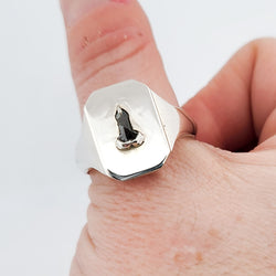 Collection of Mature Salt and Pepper Diamond Penis Signet Ring in a gallery layout