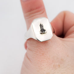 Collection of Mature Salt and Pepper Diamond Penis Signet Ring in a gallery layout